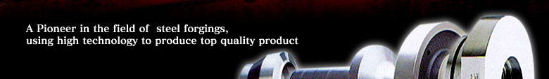 A Pioneer in the field of  steel forgings, using high technology to produce top quality product
